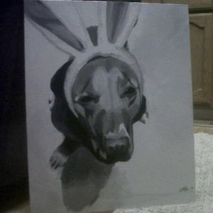 Meet your Posher, Dani